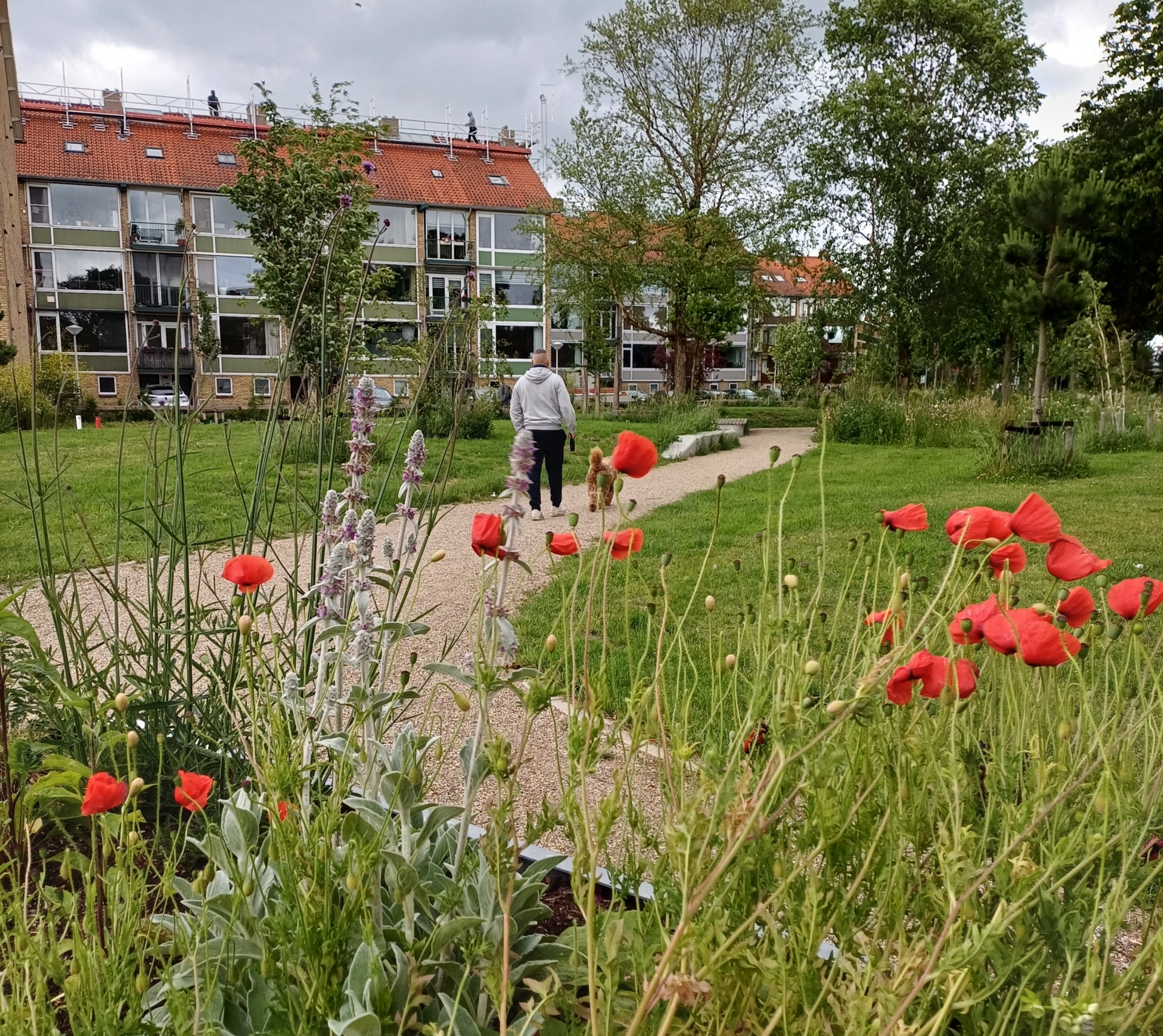 Oranjeplantsoen Diemen