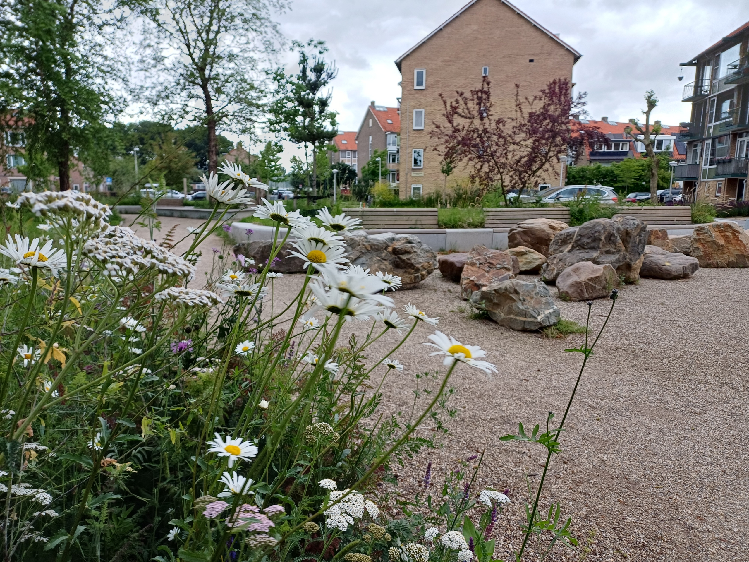 Park & plantsoen